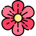 Flower-1